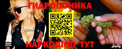 крисы Нальчик