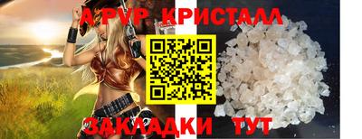 крисы Нальчик