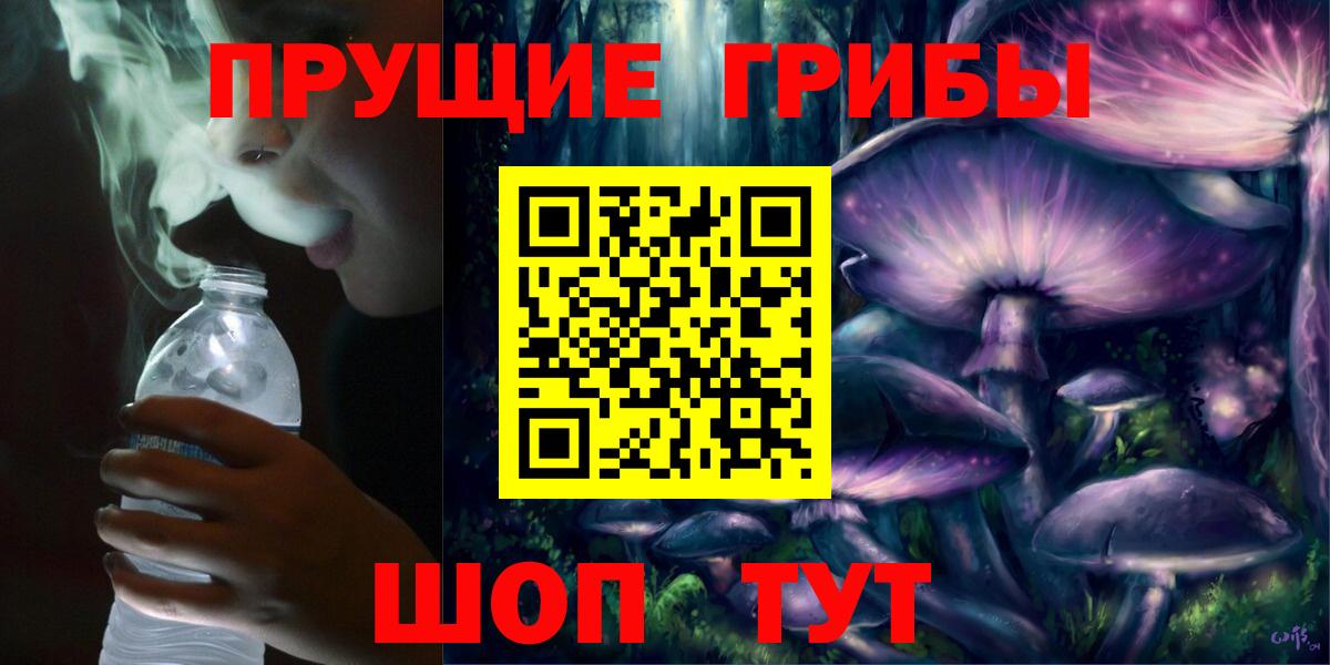 Псилоцибиновые грибы Psilocybe  Галлюциногенные грибы Psilocybe  Сокол  цена   Вход с VPN 